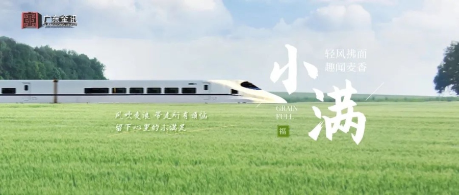 小满丨轻风拂面，趣闻麦香